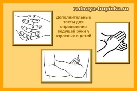 тест для определения ведущей руки
